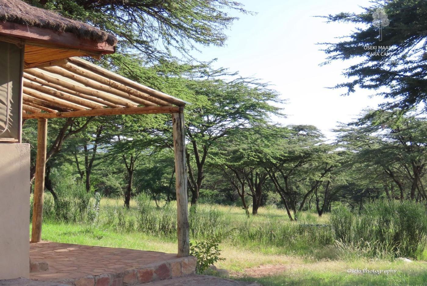 Oseki Maasai Mara Camp Narok Exterior foto